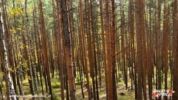 Addig riszálta a seggét a bohó liba amíg le nem dugtam a méretes cerkámat a gigáján Thumb